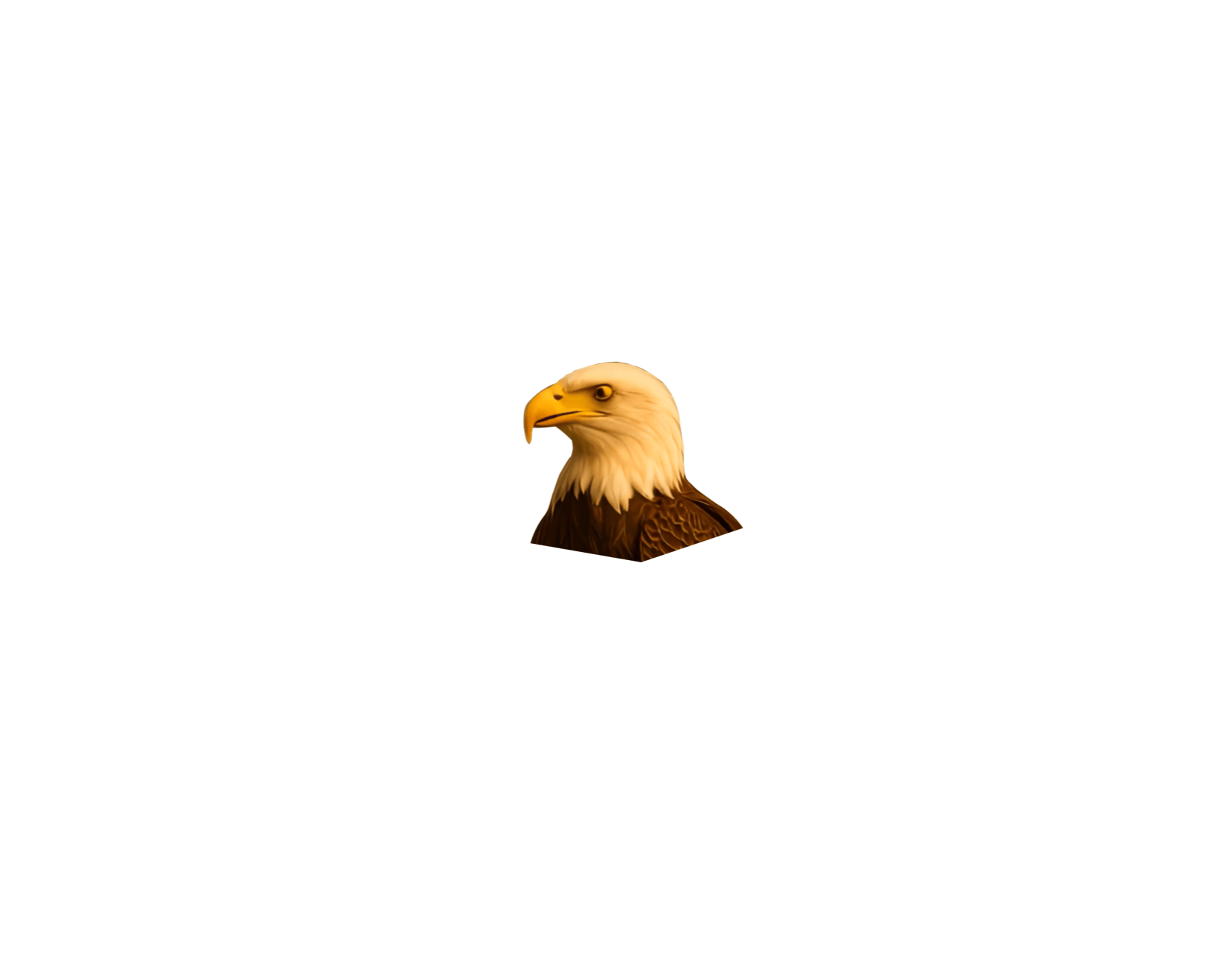 Eagle animation frame